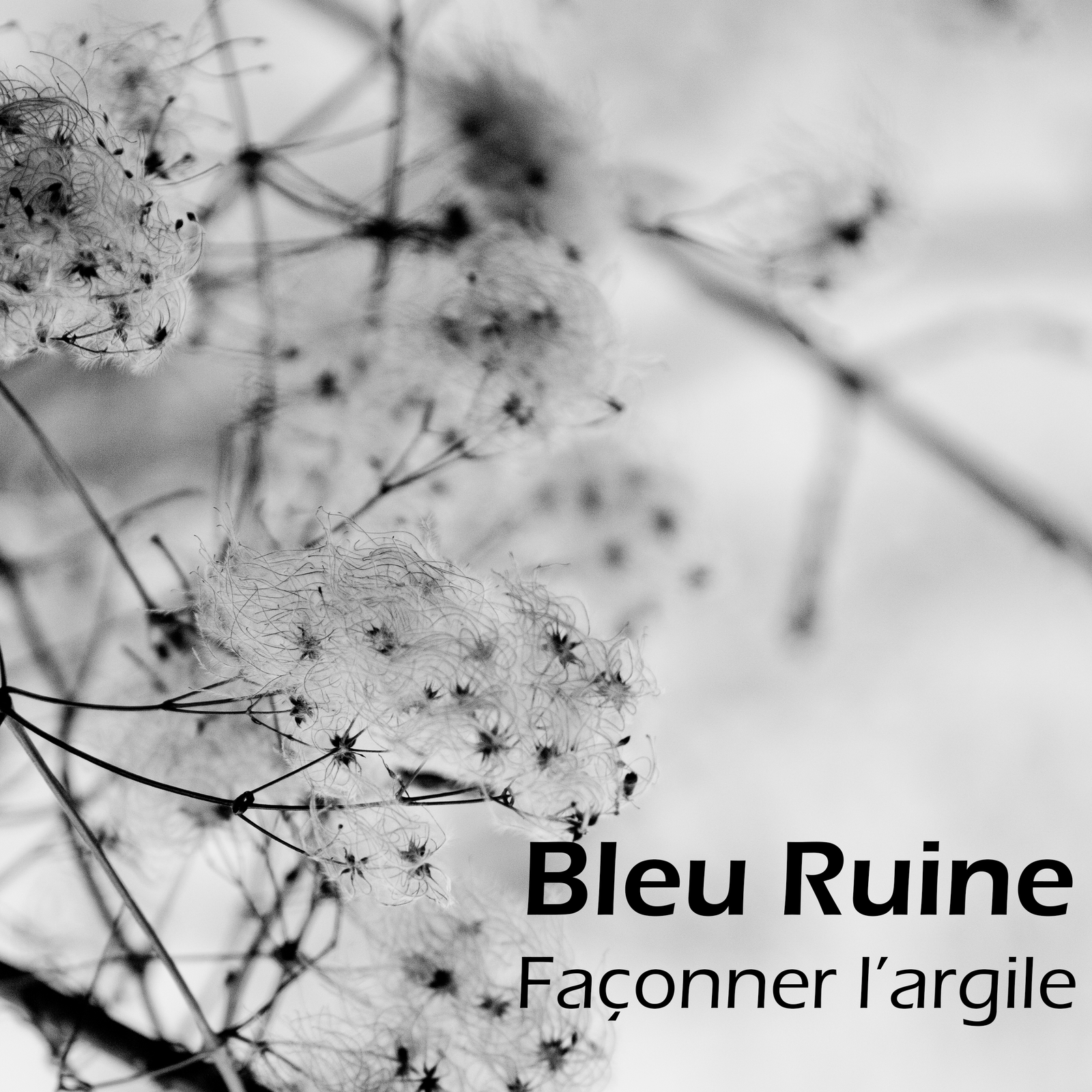 Album Façonner l'argile - Accueil