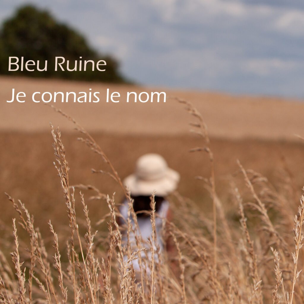 Je connais le nom - couverture