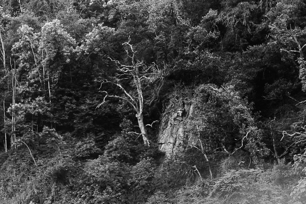 Couverture single Vallées 2