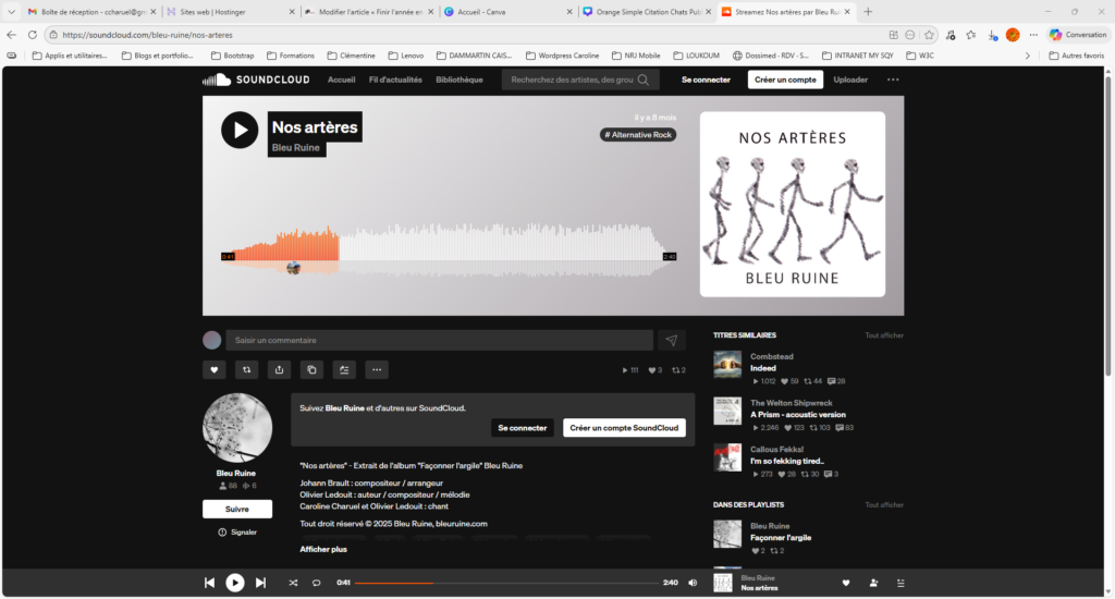 Nos artères en streaming