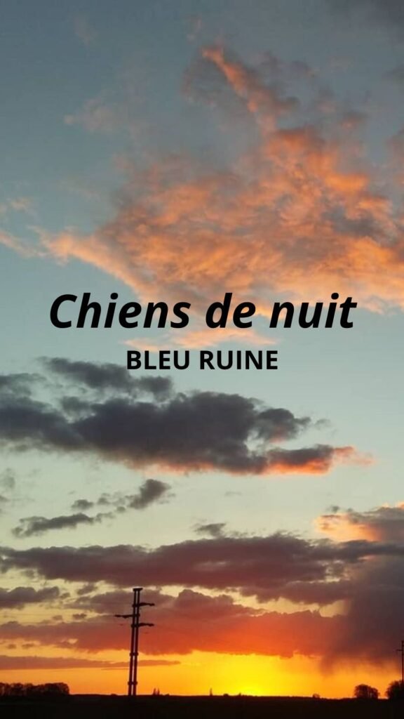 Chiens de nuit story