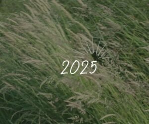 Bilan 2025 en musique