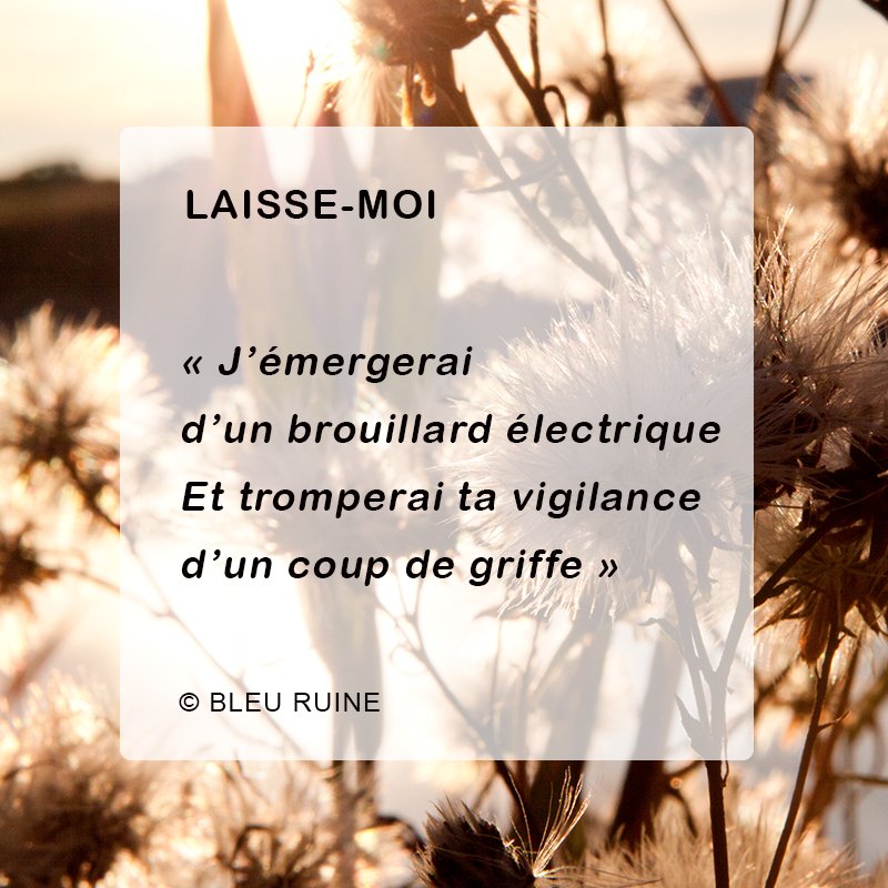 Laisse-moi paroles