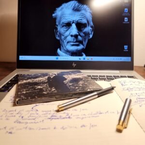 Chanson Bleu Ruine fevrier 2026