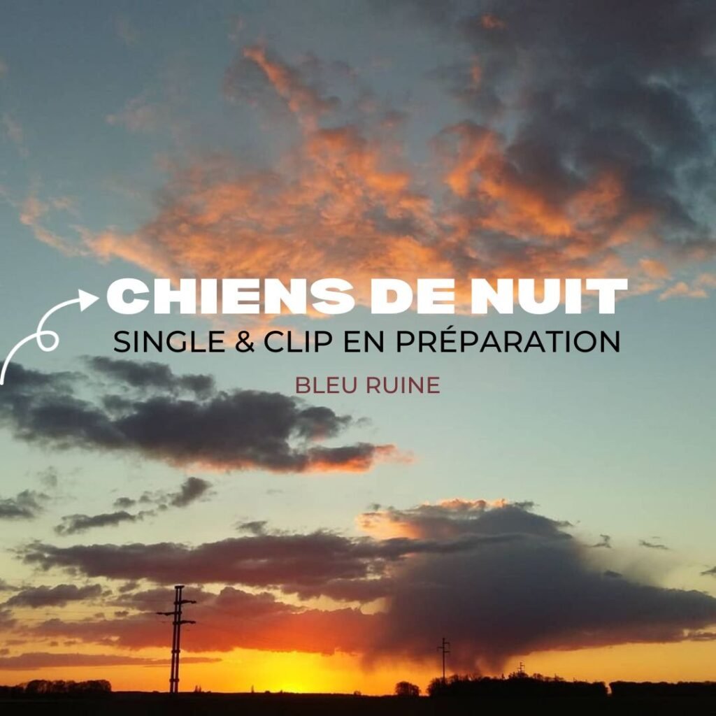 Actus Chiens de nuit