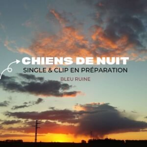 Actus Chiens de nuit
