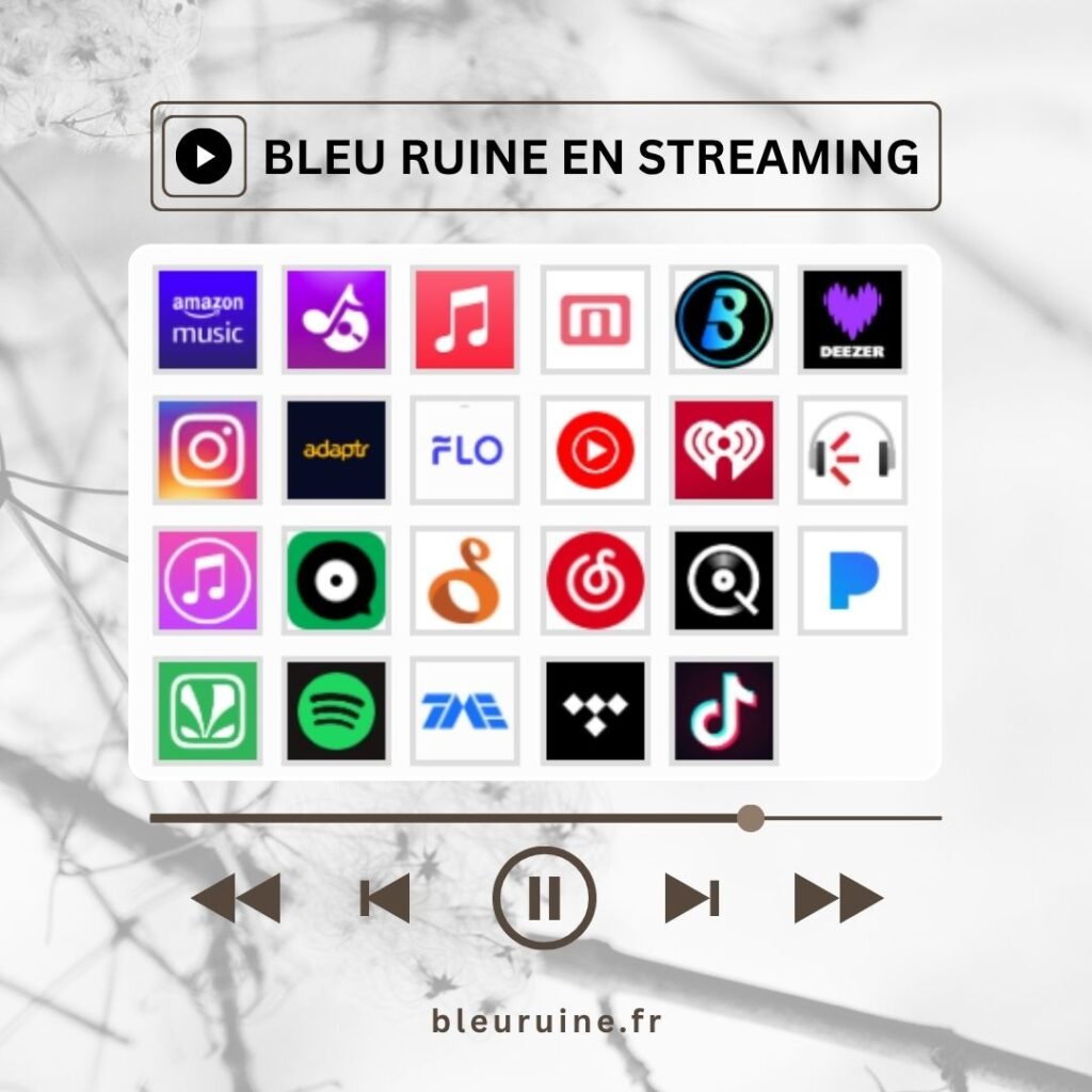bleuruine en streaming